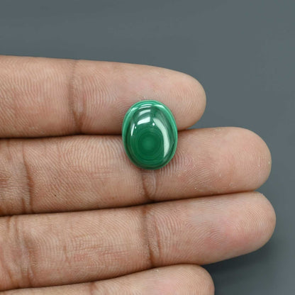 Malachite (Kidney Stone) 10.78 Carat