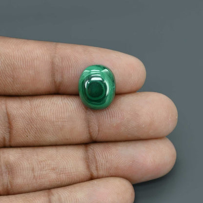 Malachite (Kidney Stone) 13.43 Carat