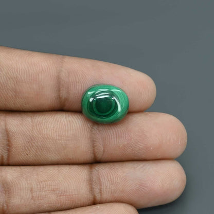 Malachite (Kidney Stone) 13.43 Carat