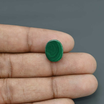 Malachite (Kidney Stone) 12.65 Carat