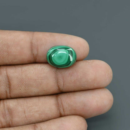 Malachite (Kidney Stone) 12.81 Carat