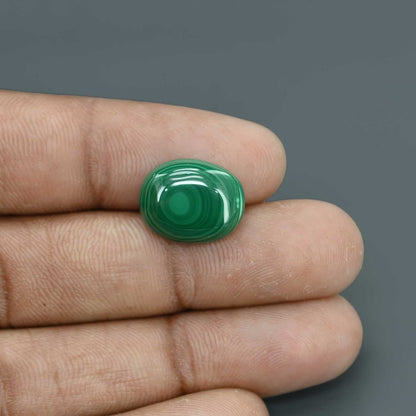 Malachite (Kidney Stone) 10.31 Carat