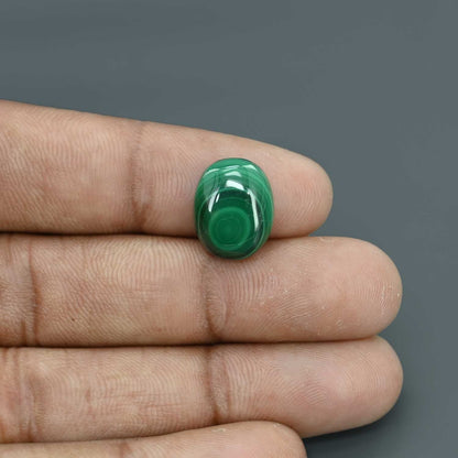 Malachite (Kidney Stone) 9.51 Carat