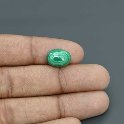 Malachite (Kidney Stone) 8.31 Carat