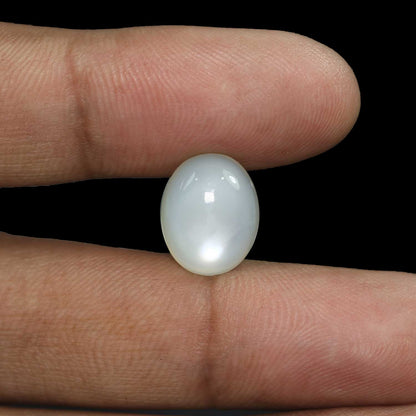 Moonstone 7.79 Carat