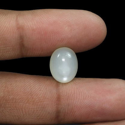 Moonstone 7.75 Carat