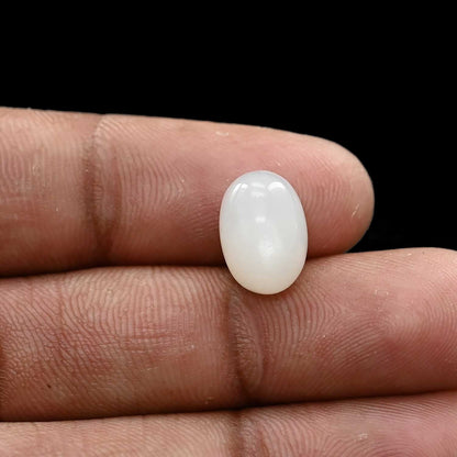 Moonstone 5.54 Carat
