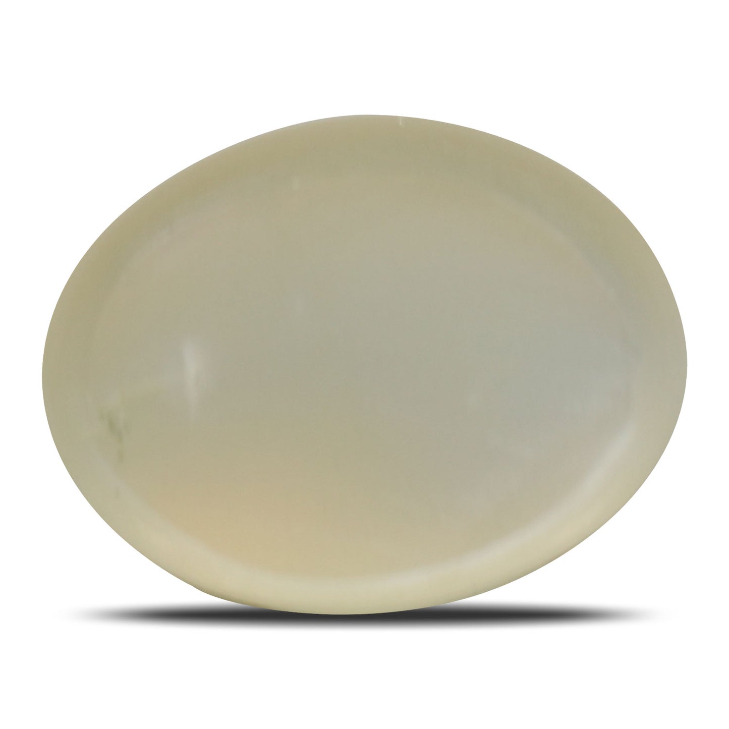 Moonstone 13.53 Carat