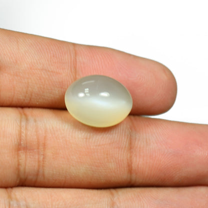 Moonstone 13.53 Carat