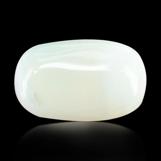 Opal Cts 5.59