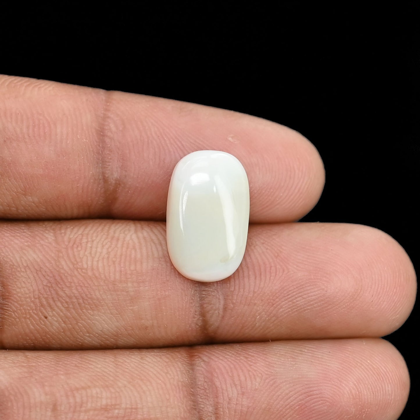 Opal Cts 5.59