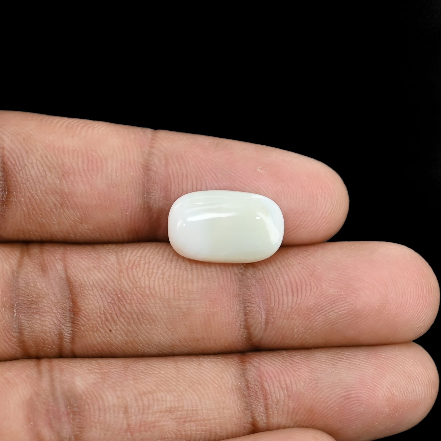 Opal Cts 5.59