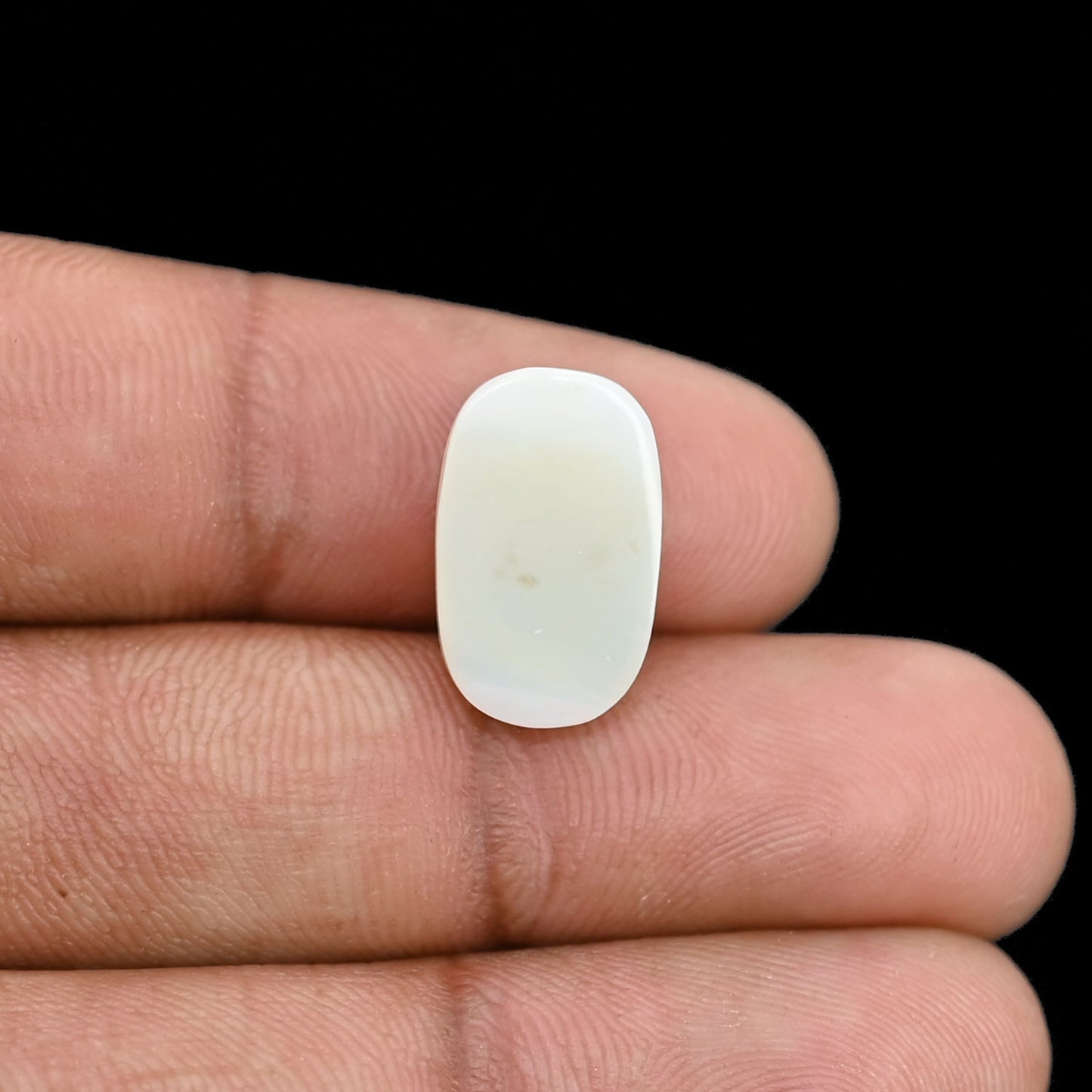 Opal Cts 5.59
