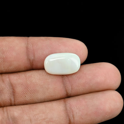 Opal Cts 6.48
