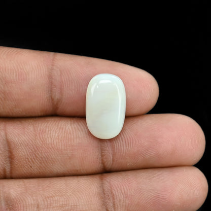 Opal Cts 6.48