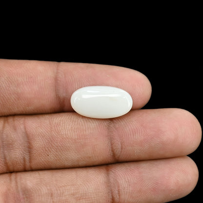 Opal Cts 6.26