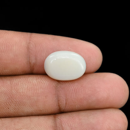 Opal Cts 5.85