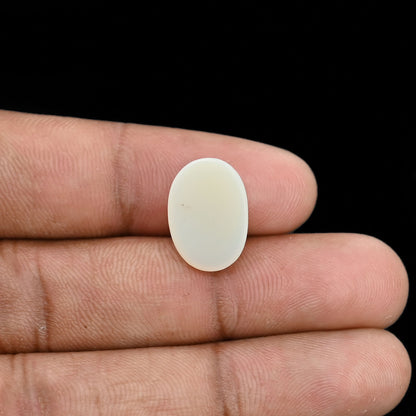 Opal Cts 5.85