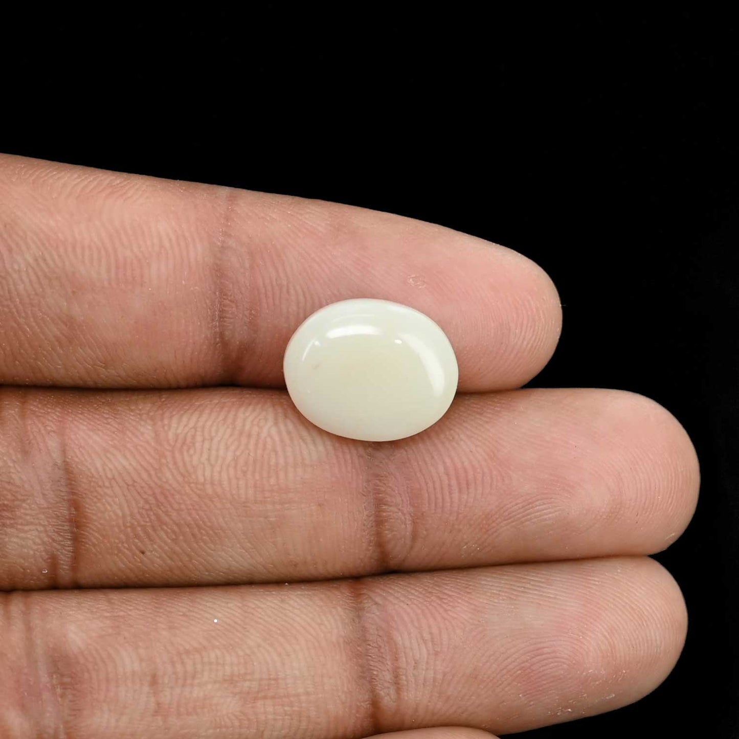 Opal Cts 5.03