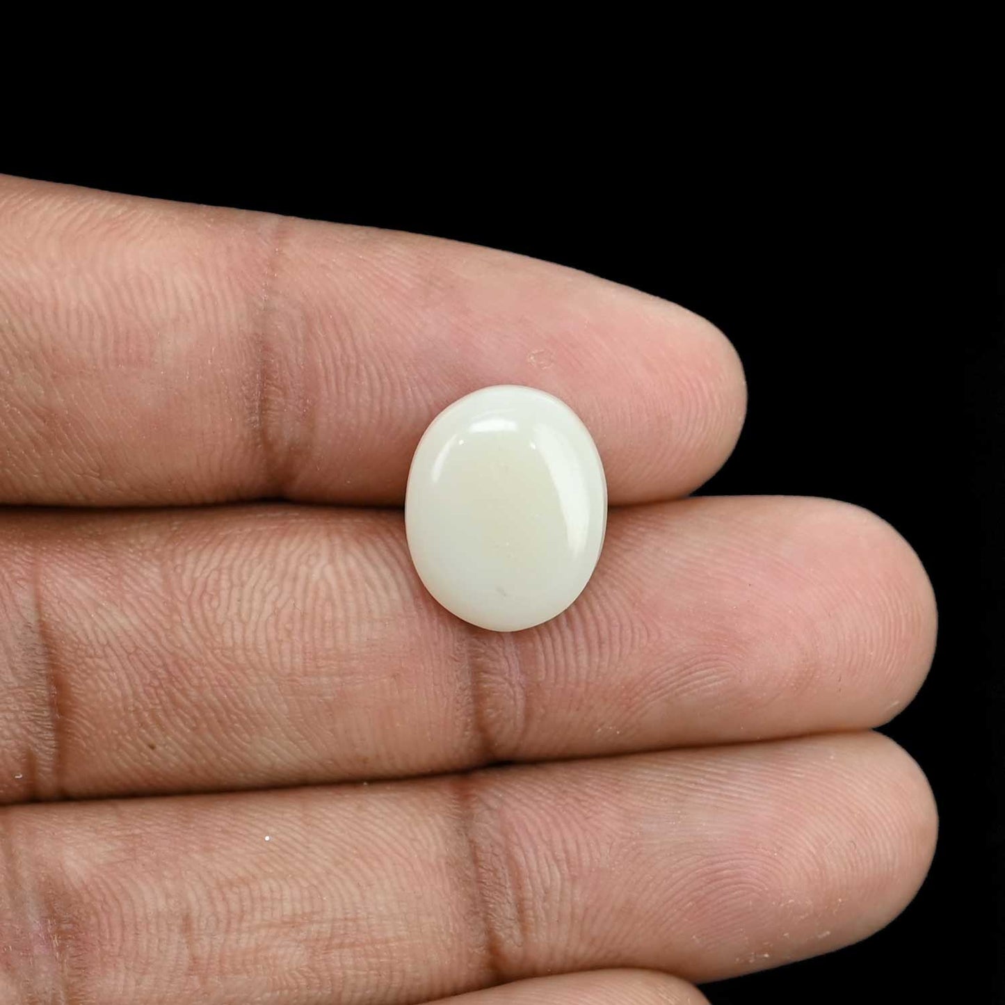Opal Cts 5.03