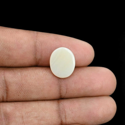 Opal Cts 5.03
