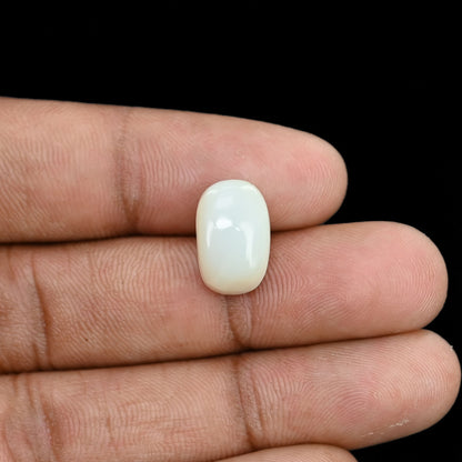 Opal Cts 5.86