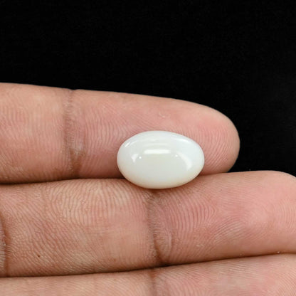 Opal Cts 5.51
