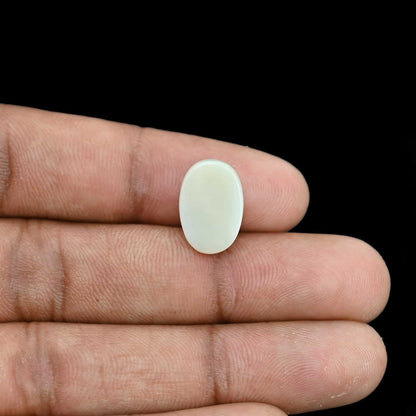 Opal Cts 5.78