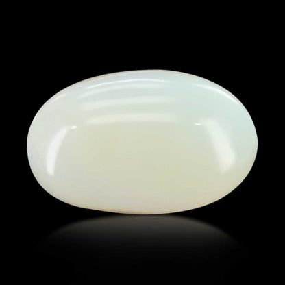 Opal Cts 5.56