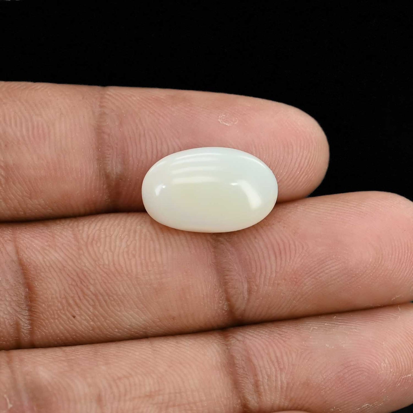 Opal Cts 5.56