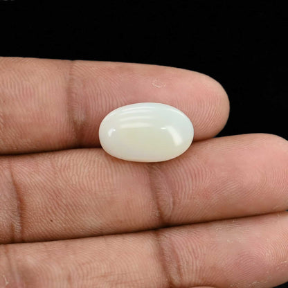 Opal Cts 5.56