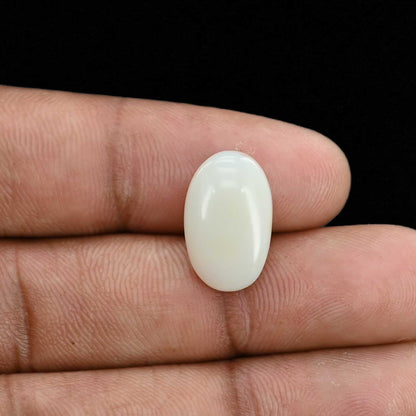 Opal Cts 5.56
