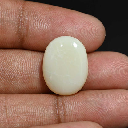 Australian Fire Opal 13.51 Carat