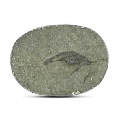 Natural Pyrite Cts 12.31 Ratti 13.53