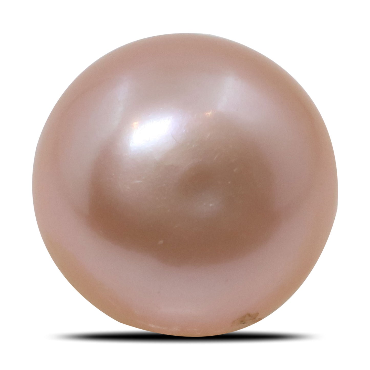 Fresh Water Pearl (Moti) 6.1 Carat