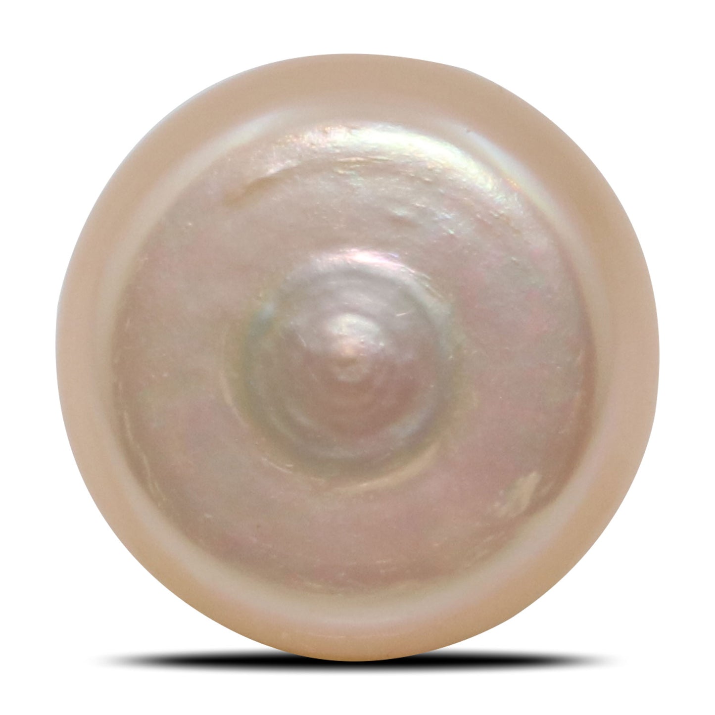 Fresh Water Pearl (Moti) 7.53 Carat