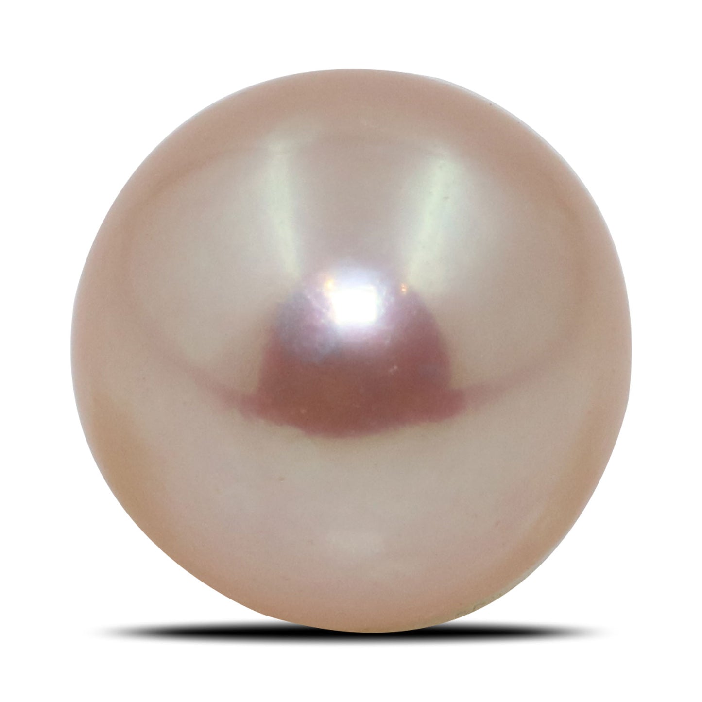 Fresh Water Pearl (Moti) 6.18 Carat