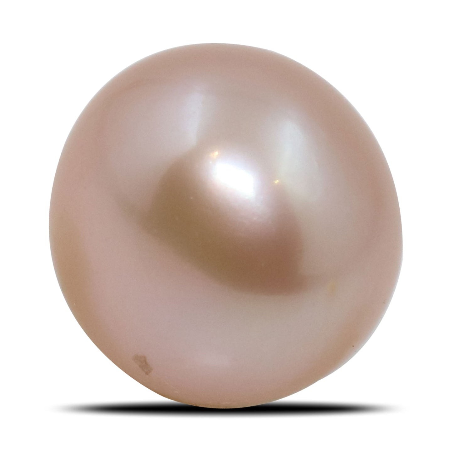 Fresh Water Pearl (Moti) 7.27 Carat