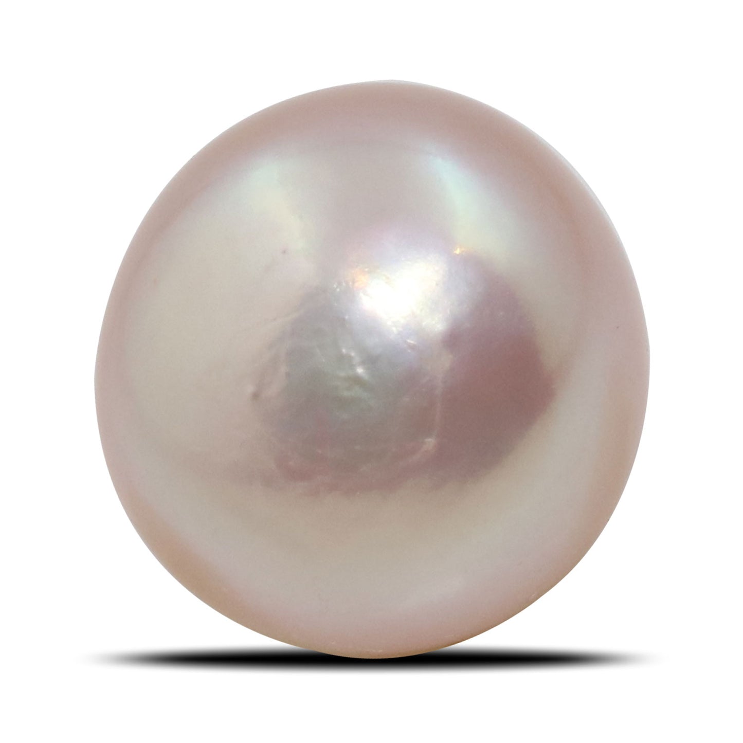 Fresh Water Pearl (Moti) 7.27 Carat