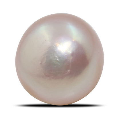 Fresh Water Pearl (Moti) 7.27 Carat