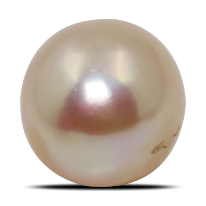 Fresh Water Pearl (Moti) 7.08 Carat