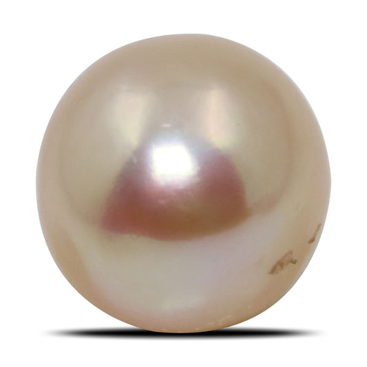 Fresh Water Pearl (Moti) 7.08 Carat