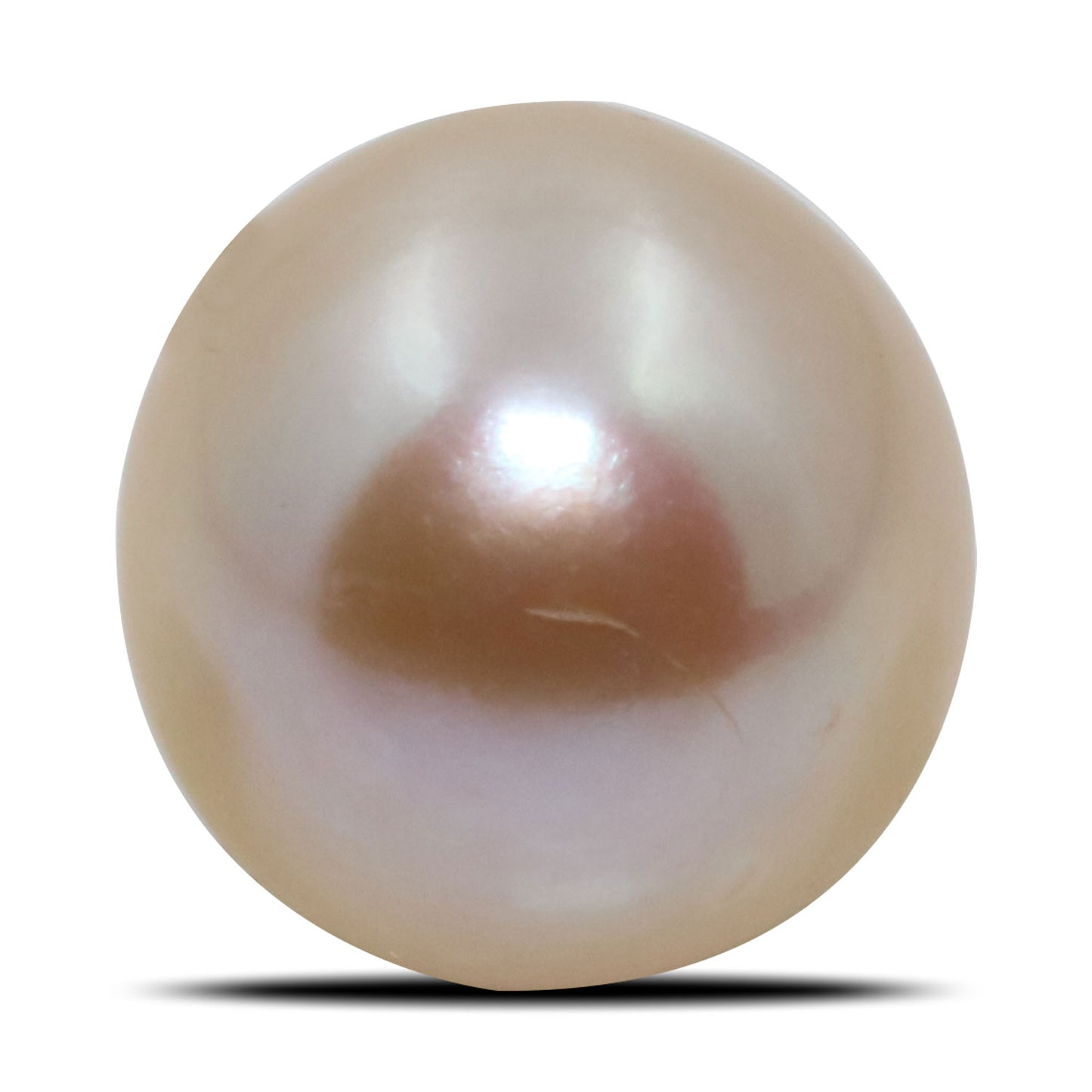 Fresh Water Pearl (Moti) 6.33 Carat