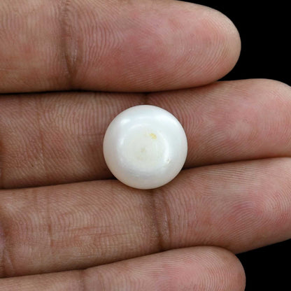 Fresh Water Pearl (Moti) 13.83 Carat