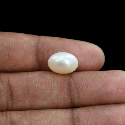 Fresh Water Pearl (Moti) 10.04 Carat