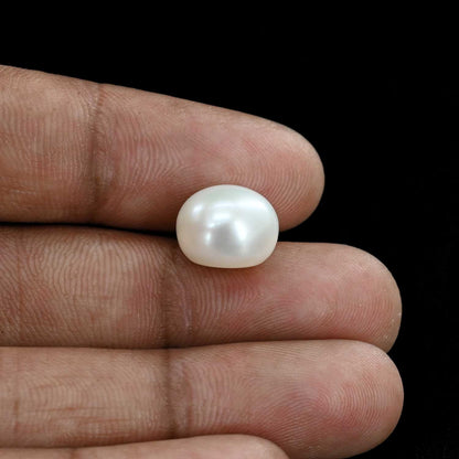 Fresh Water Pearl (Moti) 10.45 Carat