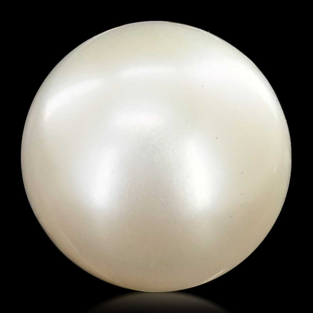 Fresh Water Pearl (Moti) 11.32 Carat