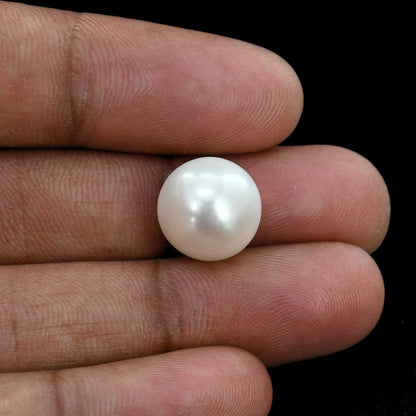Fresh Water Pearl (Moti) 11 Carat