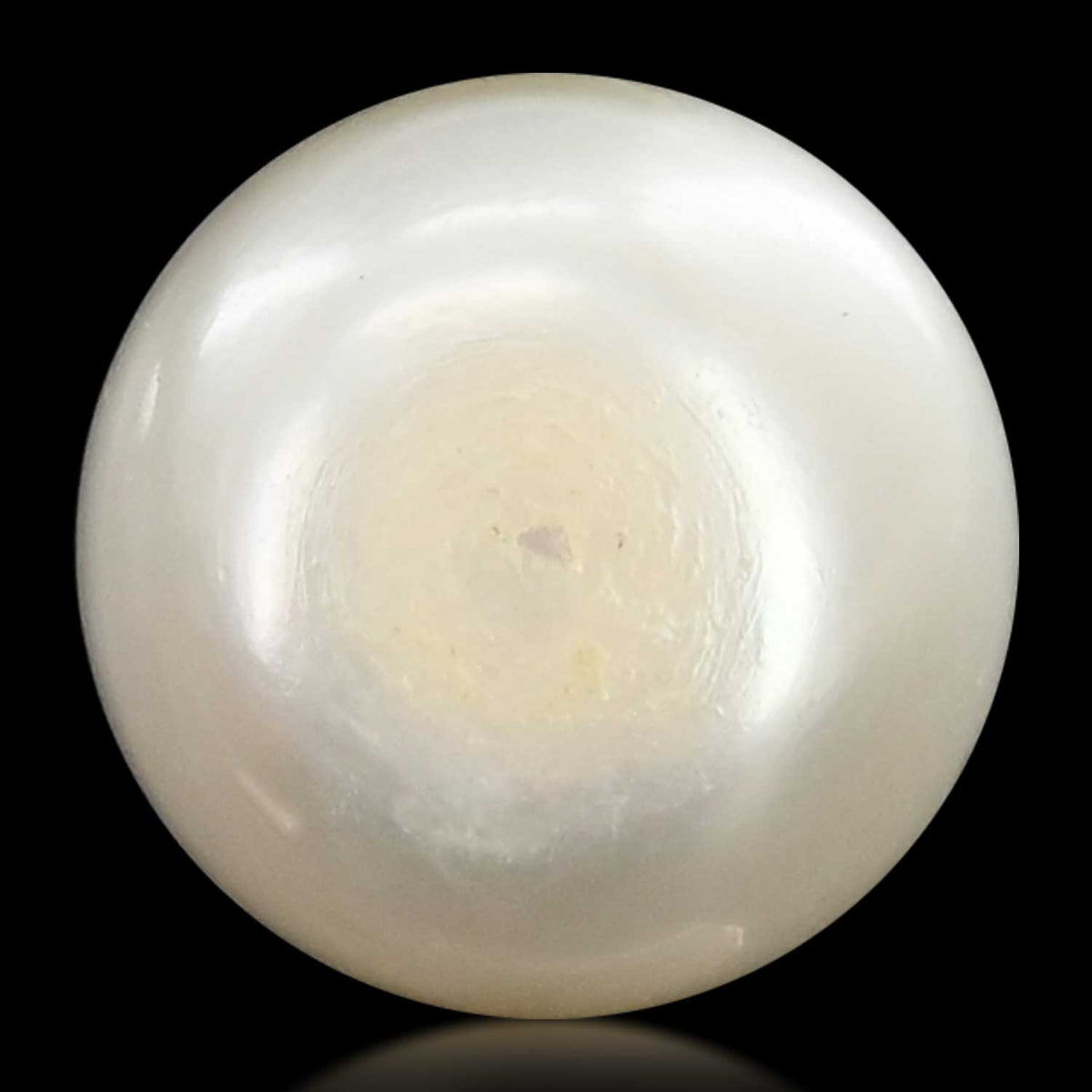 Fresh Water Pearl (Moti) 10.63 Carat
