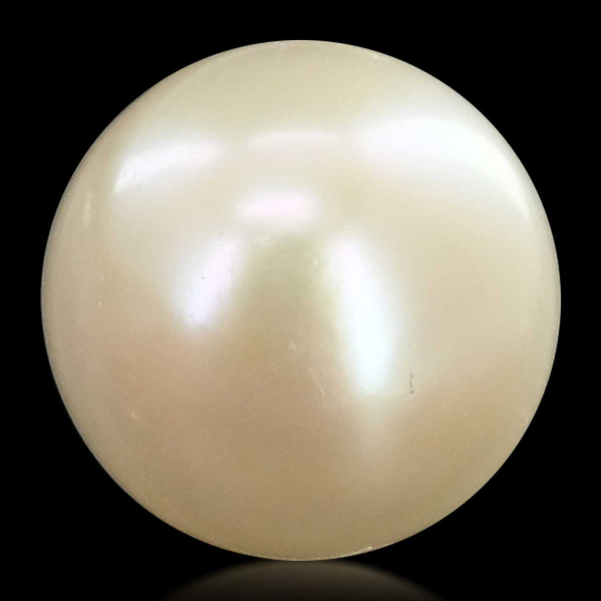Fresh Water Pearl (Moti) 9.52 Carat